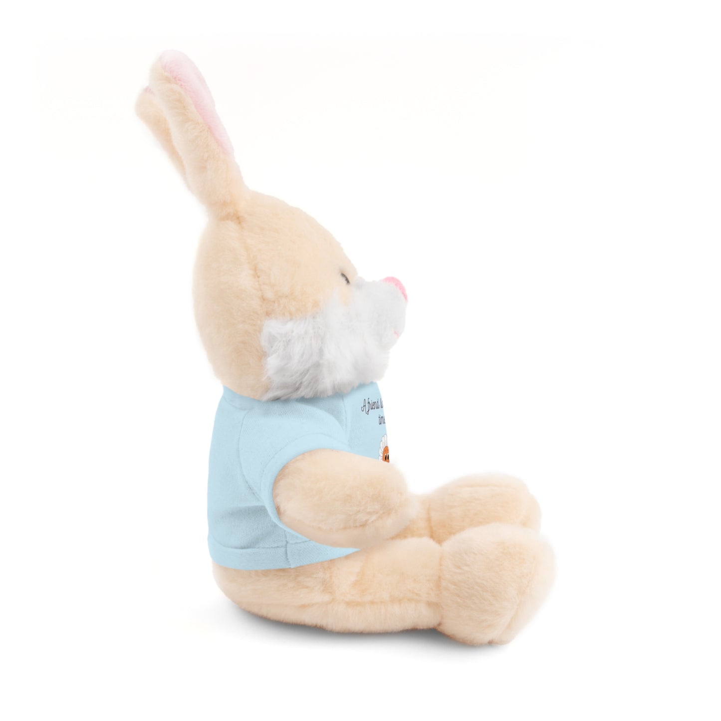 Christian Plushie – Proverbs 17:17 Friendship & Faith Gift Christian Stuffed Animal  Love Gift