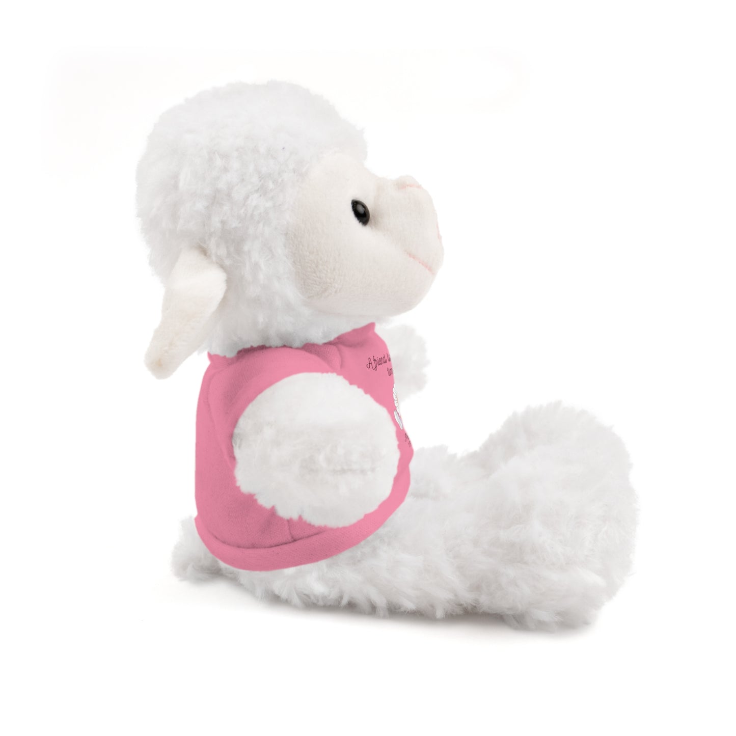 Christian Plushie – Proverbs 17:17 Friendship & Faith Gift Christian Stuffed Animal  Love Gift