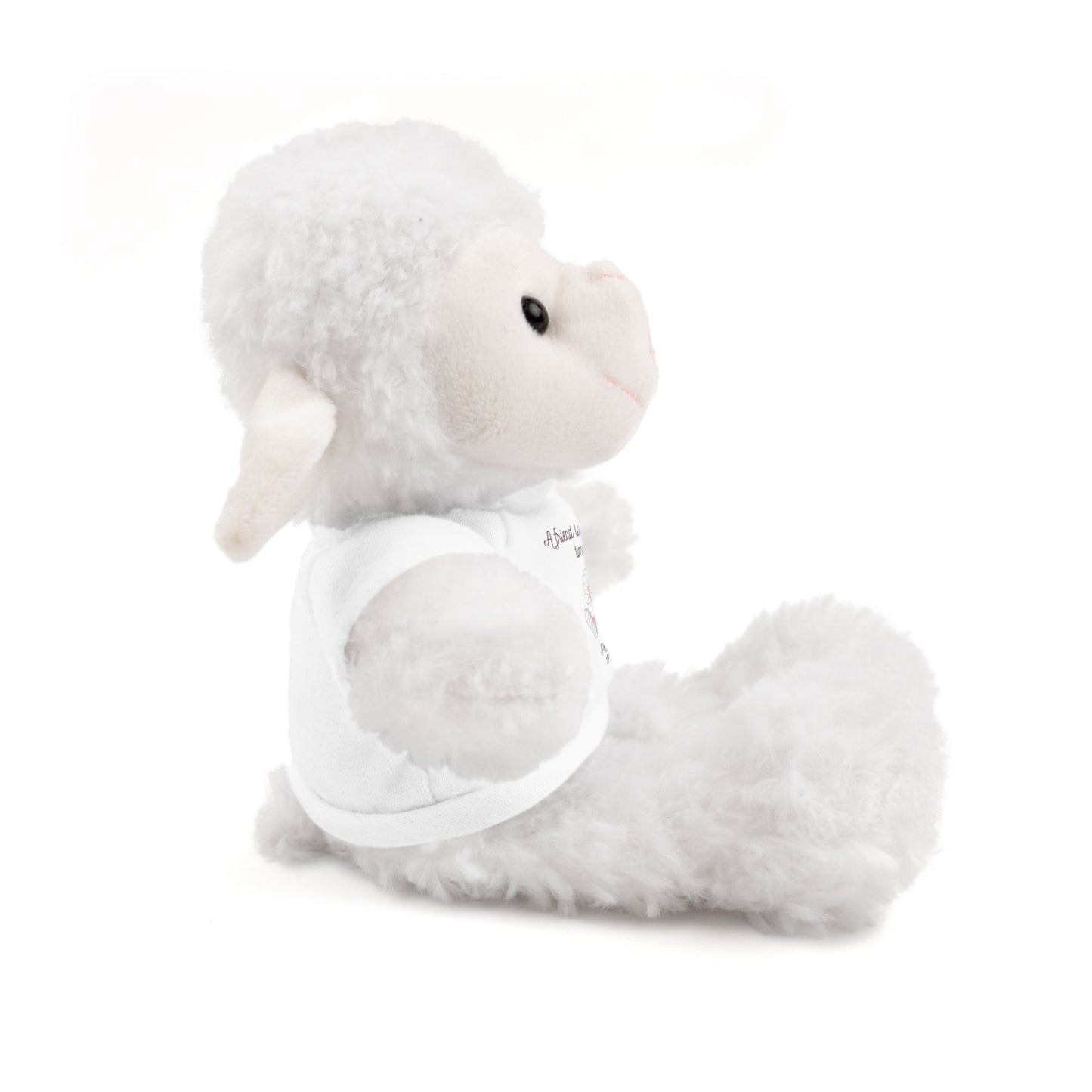 Christian Plushie – Proverbs 17:17 Friendship & Faith Gift Christian Stuffed Animal  Love Gift
