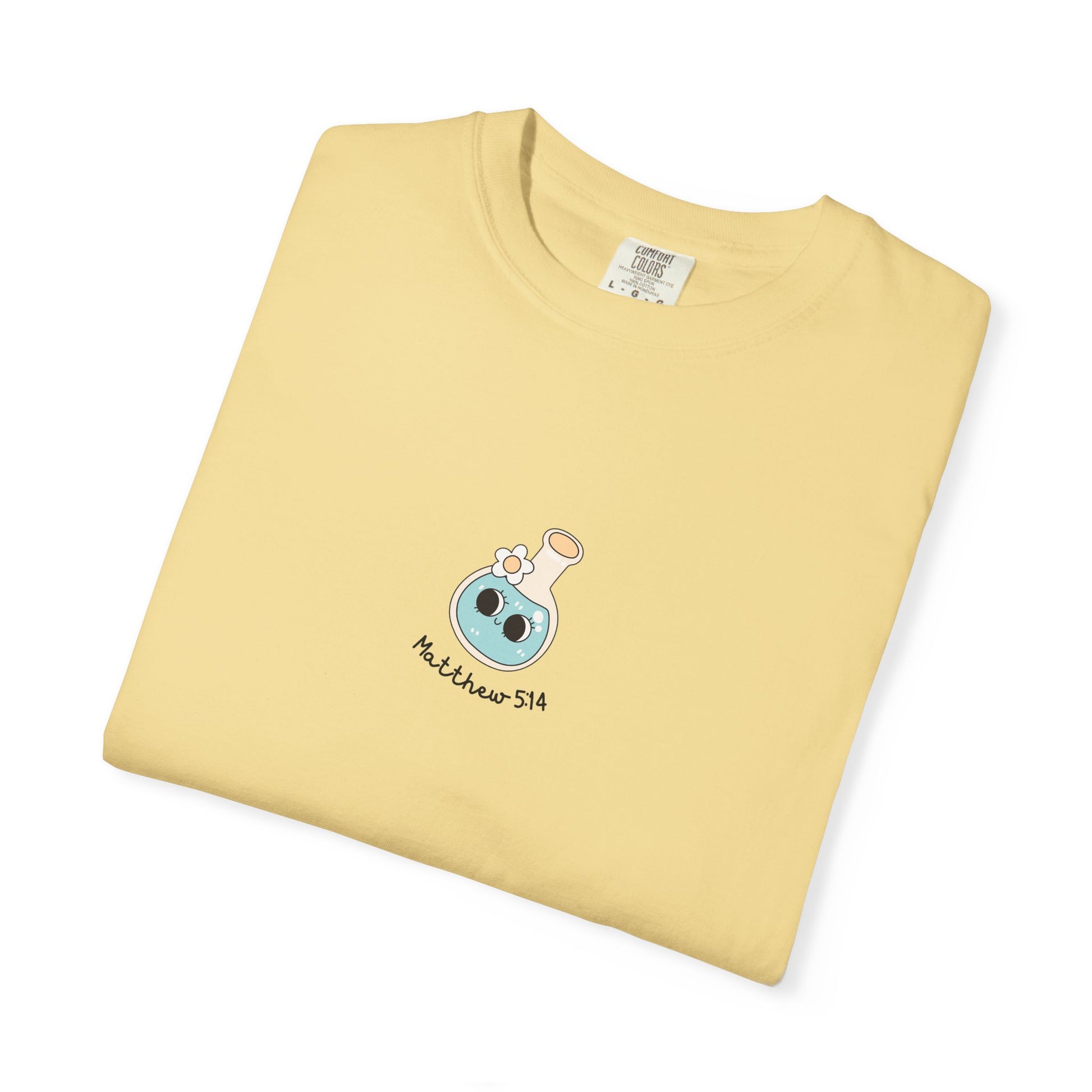 womens christian t-shirt light of world bay comfort colors