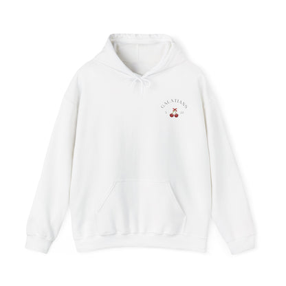 Fruit of the Spirit Hoodie – Christian Hoodie | Galatians 5:22 Bible Verse, Faith Apparel, Inspirational Gift, Cozy Fashion, Spiritual Hoodie